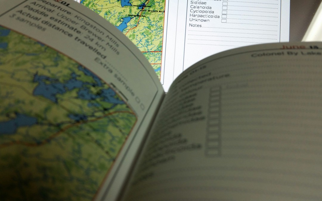 FIELD NOTES: adrift